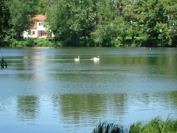 Schäfersee