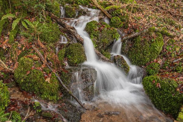 Scheuergraben in Wehr