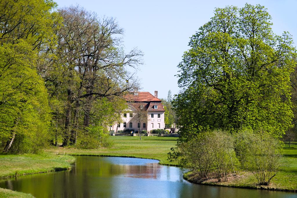 Schilfsee