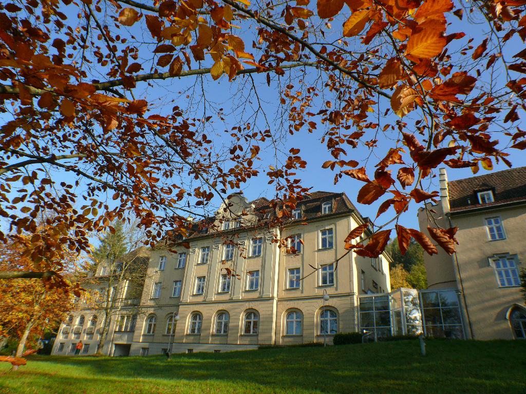 Schloss Babenwohl