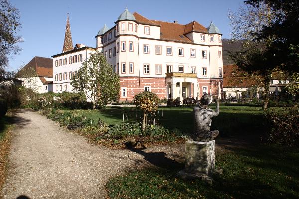 Schloss Donzdorf in Donzdorf