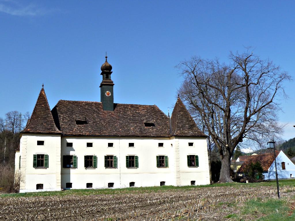 Schloss Friedhofen in St. Peter-Freienstein