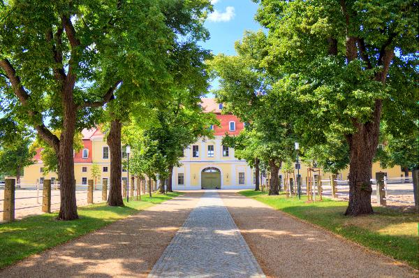Schloss Graditz in Torgau