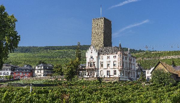 Schloss Groenesteyn in Rüdesheim am Rhein