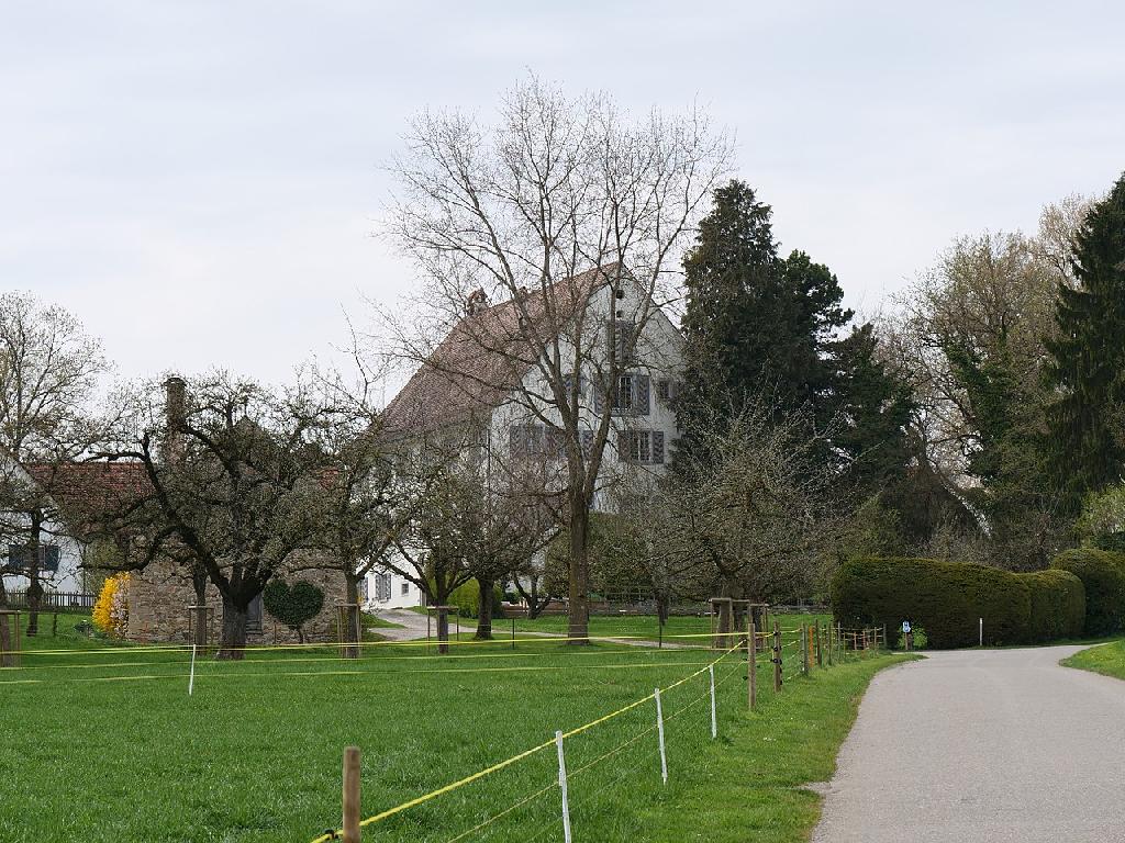 Schloss Gündelhart in Hörhausen