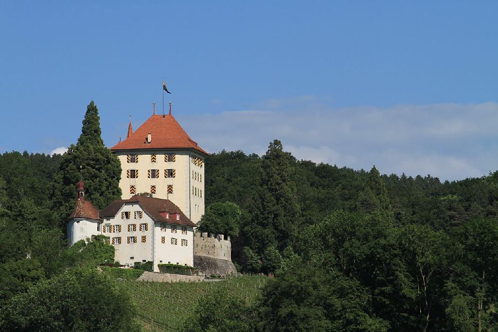 Schloss Heidegg in Gelfingen