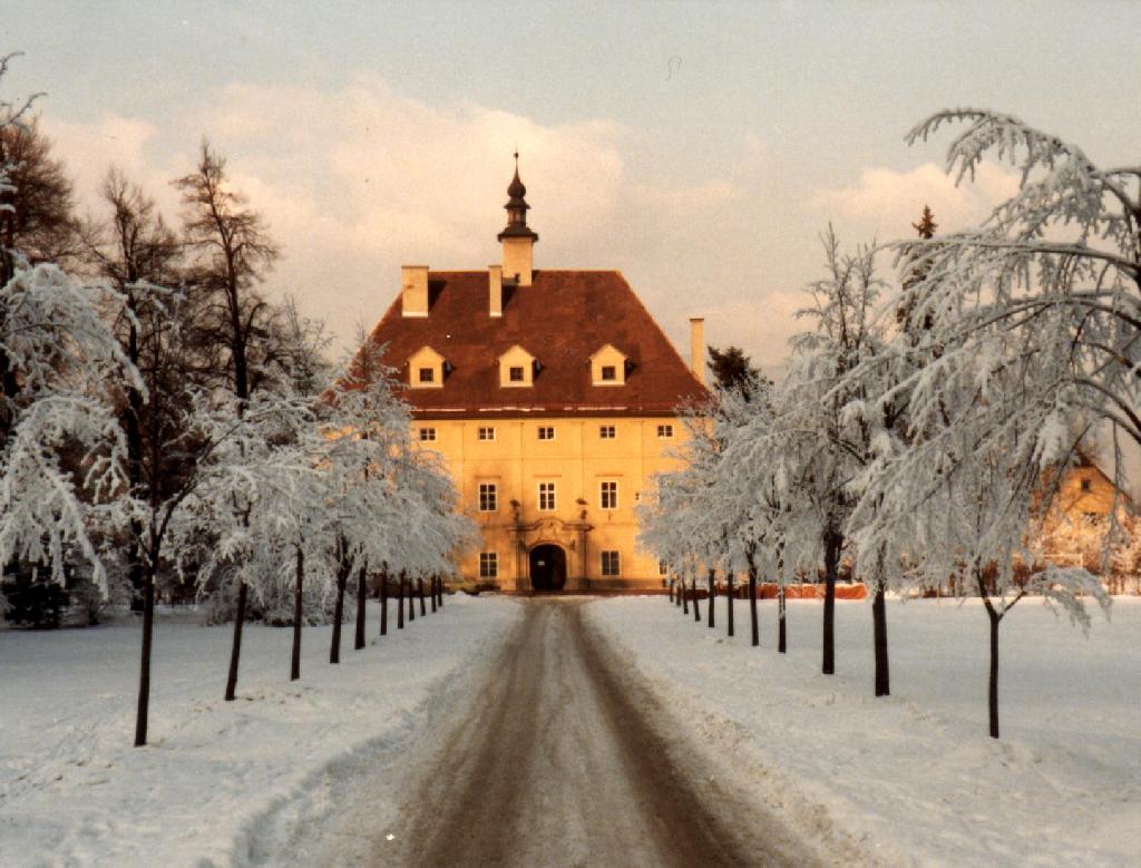 Schloss Liechtenstein in Judenburg