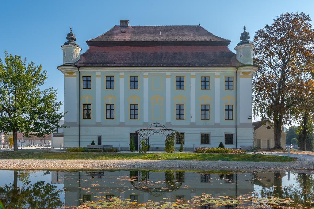 Schloss Traun in Traun