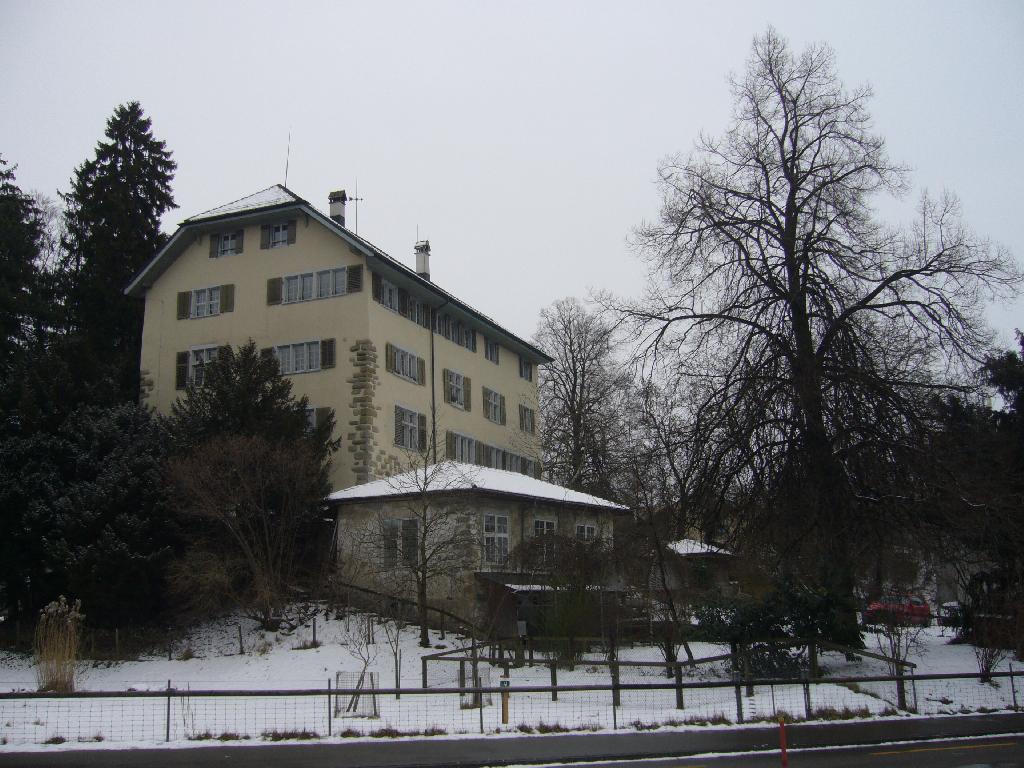 Schloss Wetzikon in Wetzikon ZH