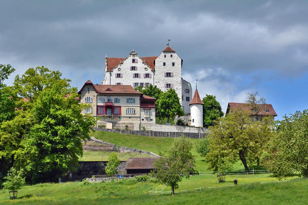 Schloss Wildegg in Wildegg