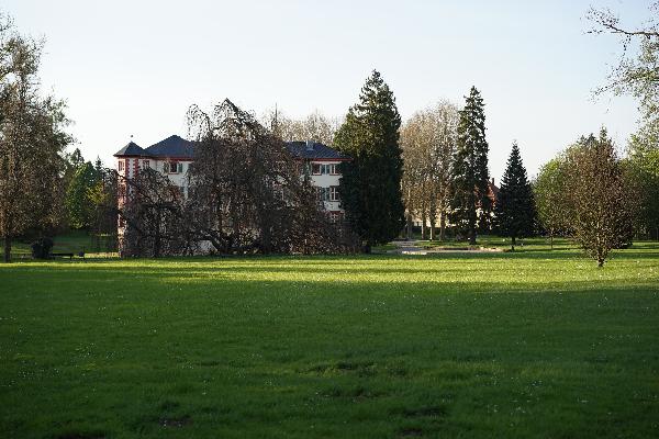 Schlosspark in Angelbachtal