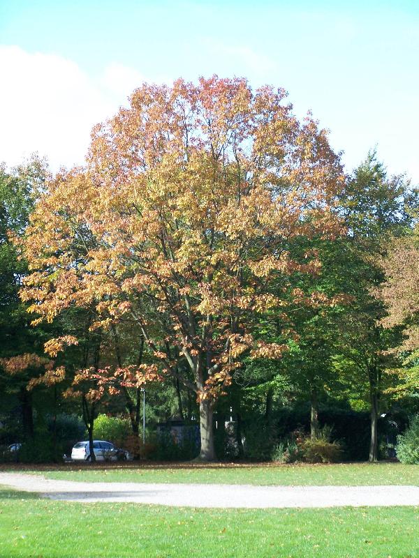 Schlosspark in Aachen