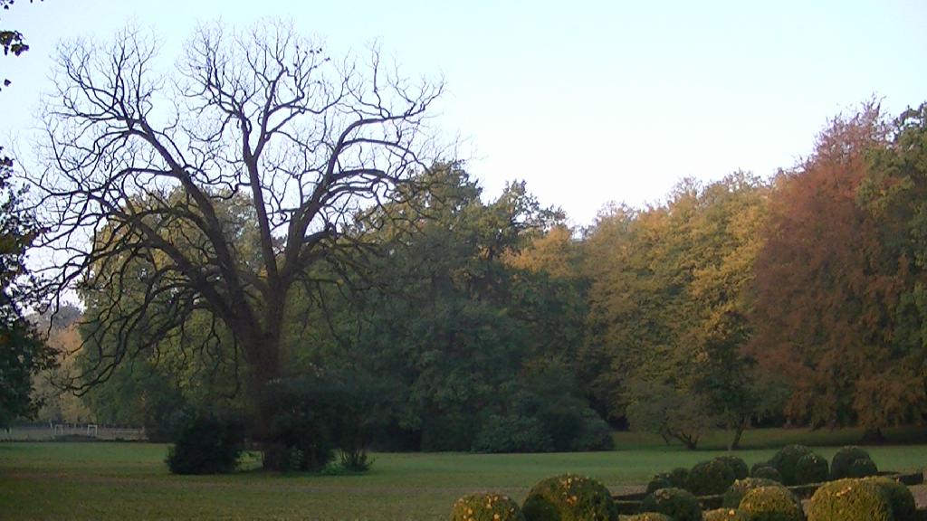 Schlosspark in Plön