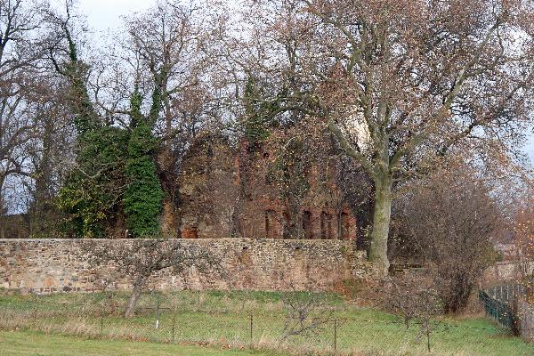 Schlossruine Nostitz