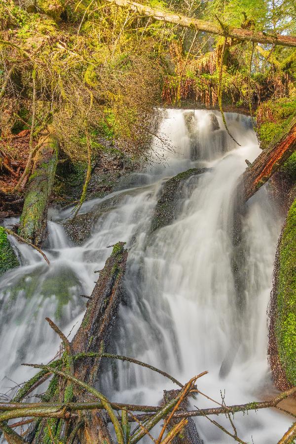 Schönenbach Wasserfall