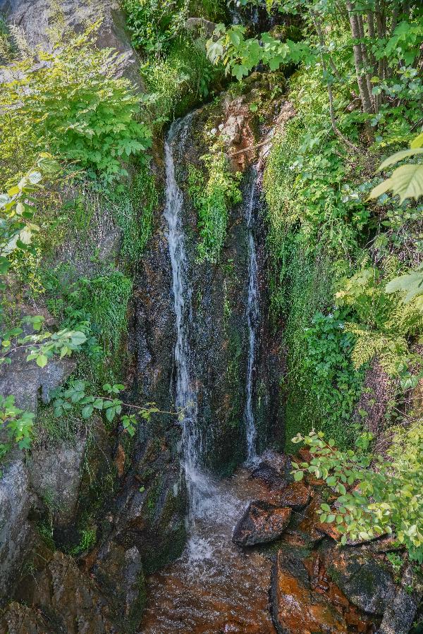 Schönenbach Wasserfall in St. Blasien