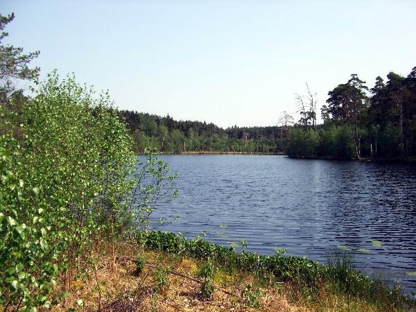 Schwarz See in Sterley