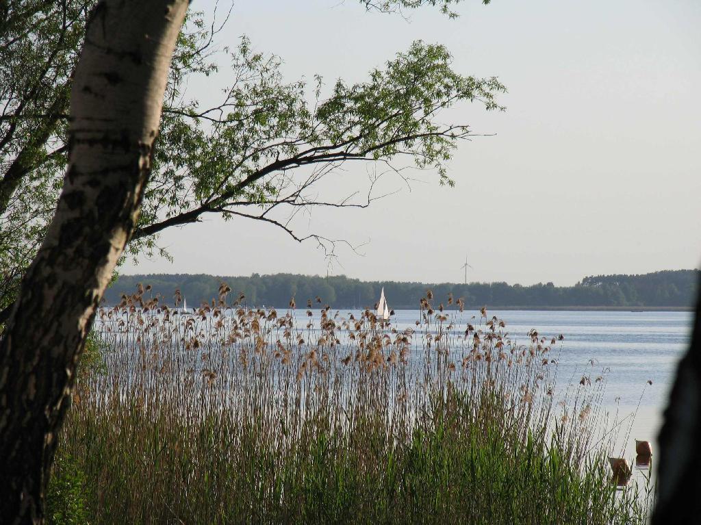 Schwielochsee in Beeskow