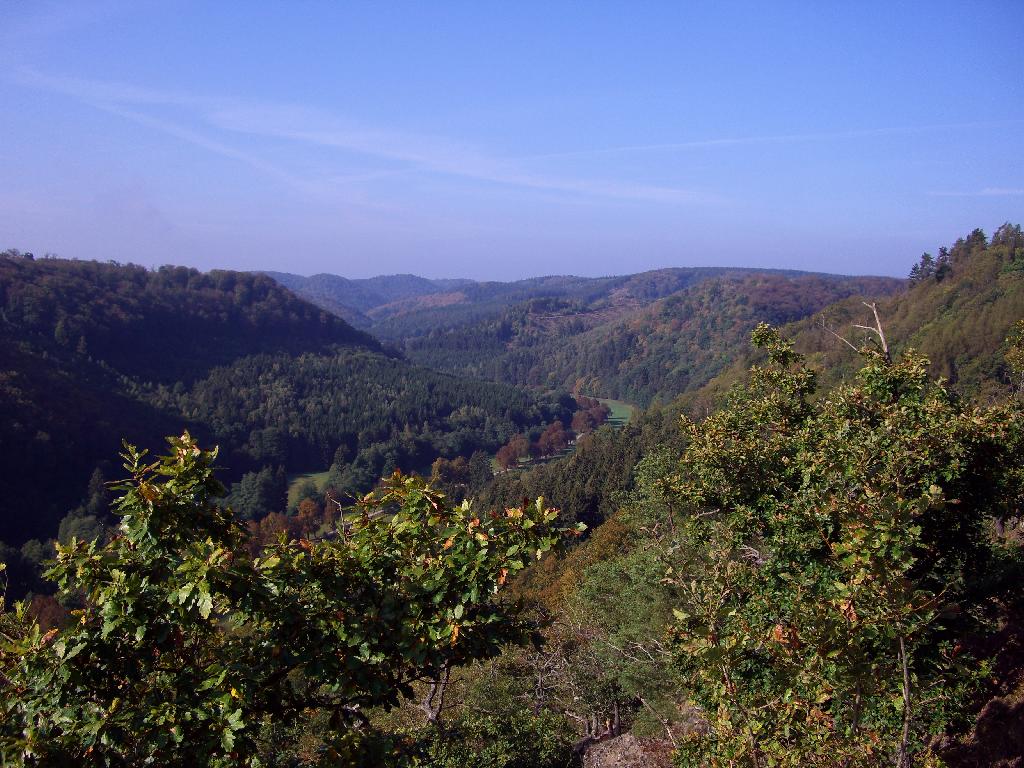 Selkesicht in Falkenstein/Harz
