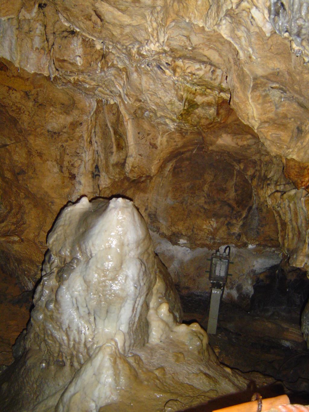 Sontheimer Höhle in Heroldstatt