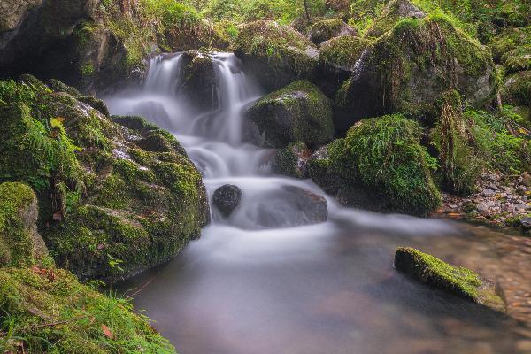 Steinwasen Wasserfälle