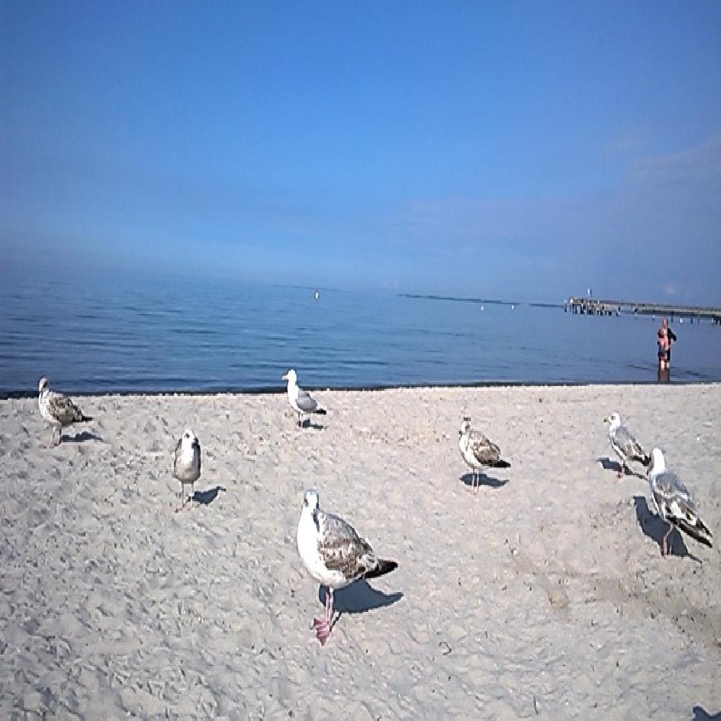 Strand Boltenhagen