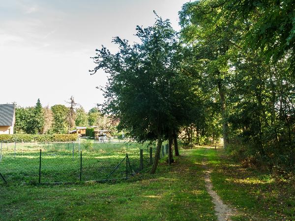Strellner Park in Mockrehna
