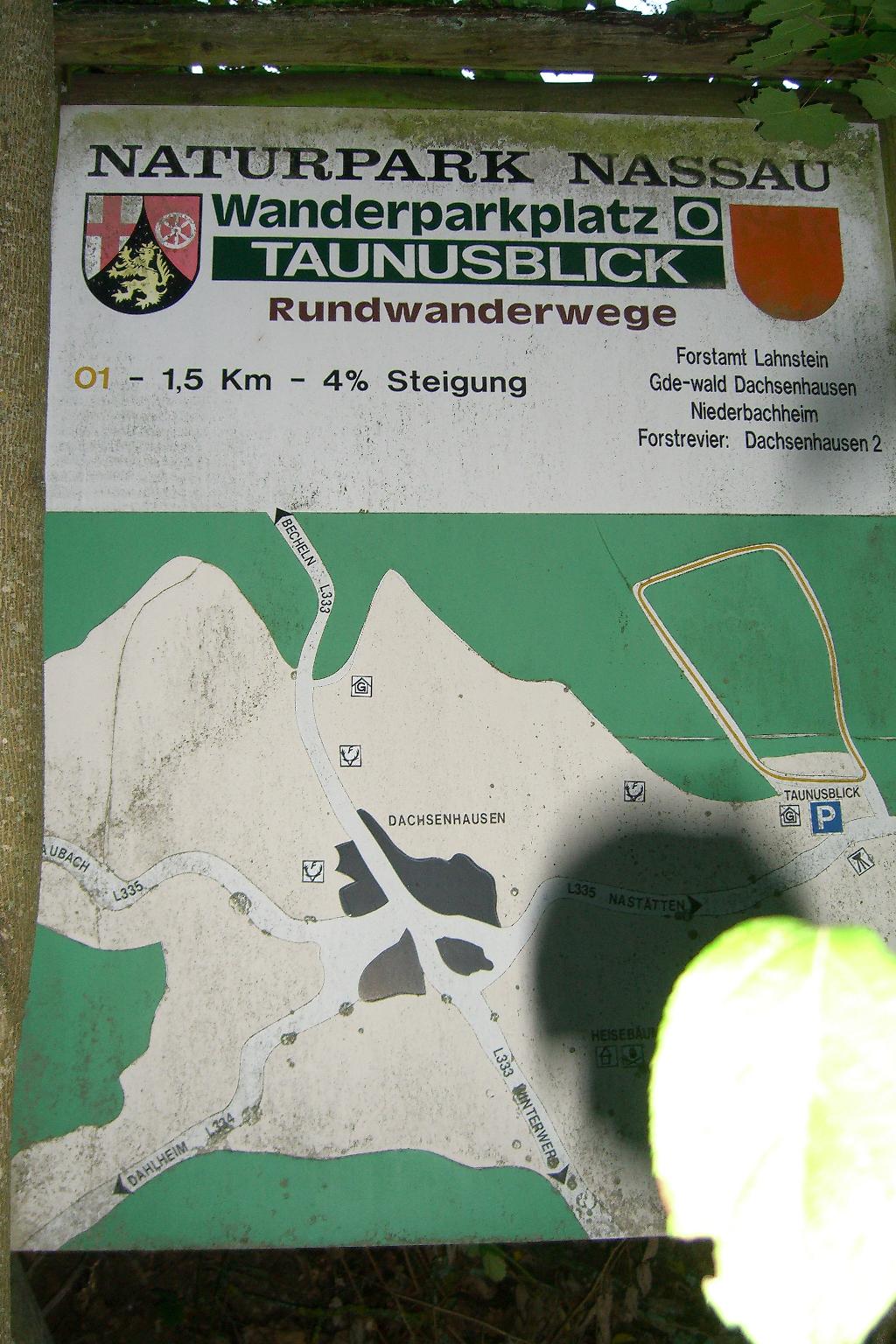 Taunusblick