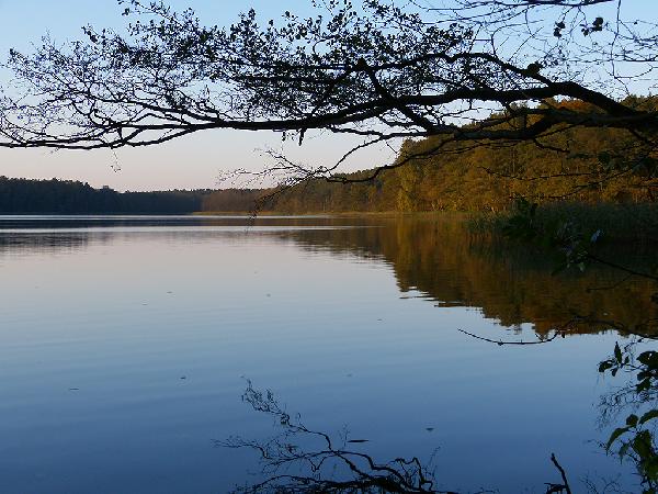 Tholmannsee