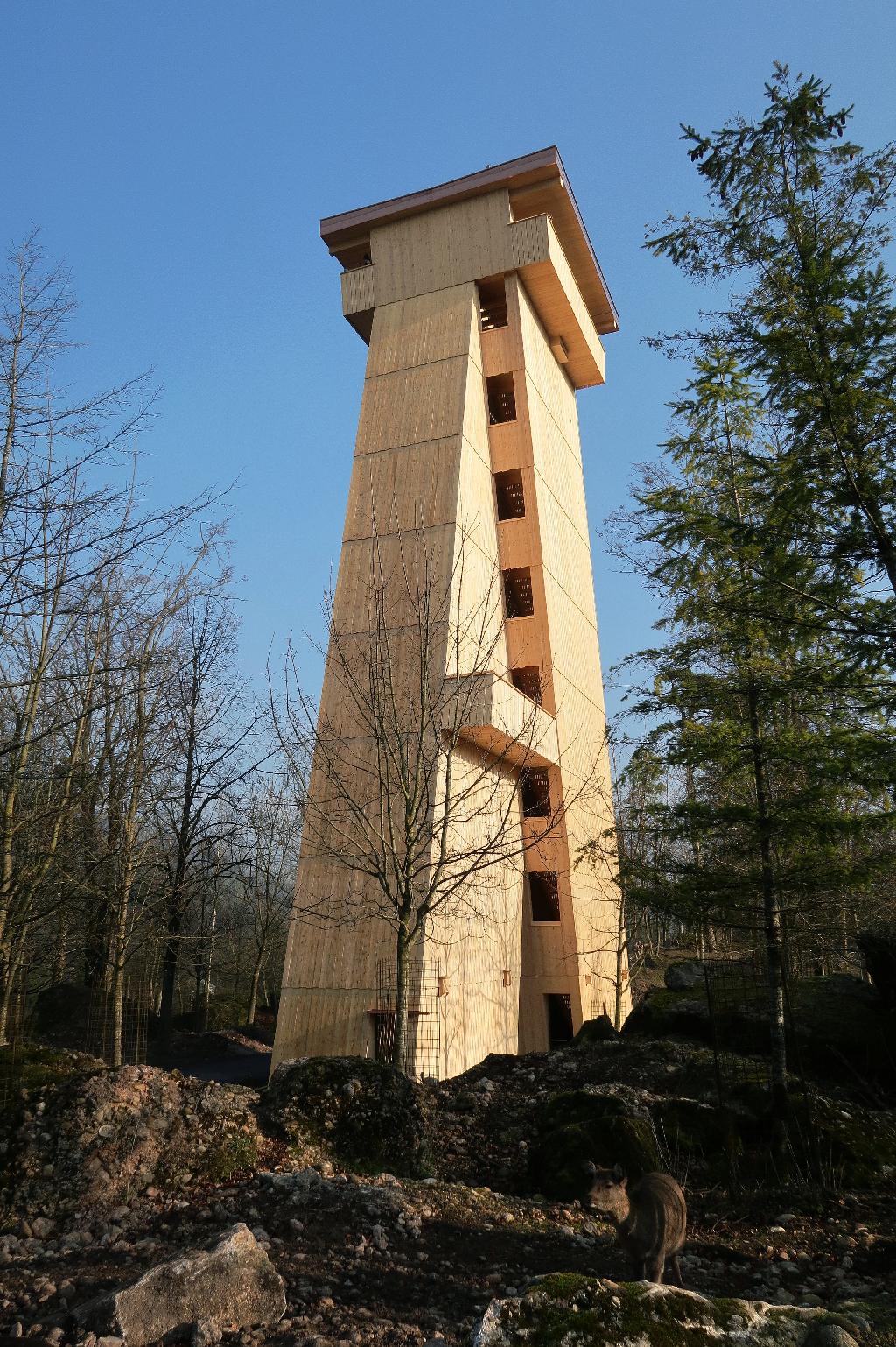 Tierparkturm Goldau in Goldau