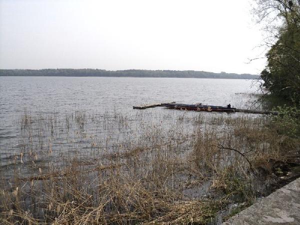 Torgelower See in Peenehagen