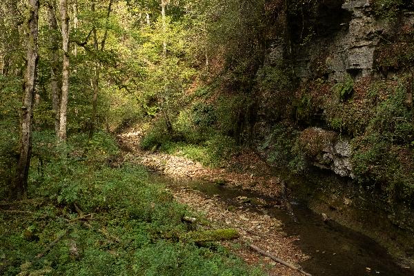 Tränkebach Wasserfall