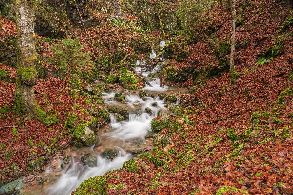 Unterer Wasserfall des Hinterwildbodenbächle