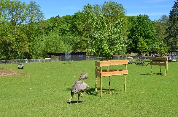 Vogelpark Schotten in Schotten