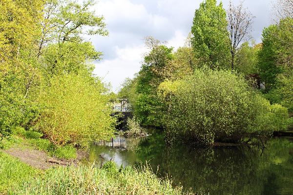 Volkspark Wilmersdorf