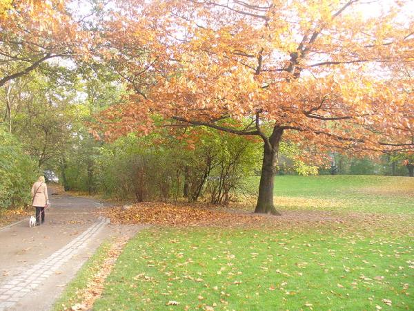 Volkspark Wilmersdorf