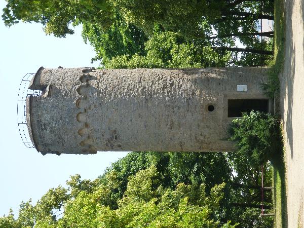 Wartturm (Kirchheimbolanden)