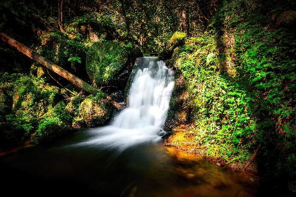 Wasserfall der Mettma