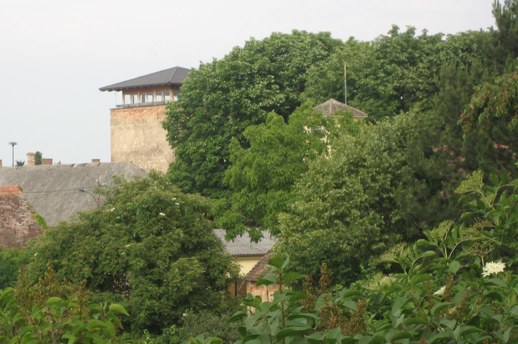 Wehrturm (Palterndorf)