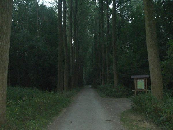 Wildfreigehege Bend in Grevenbroich