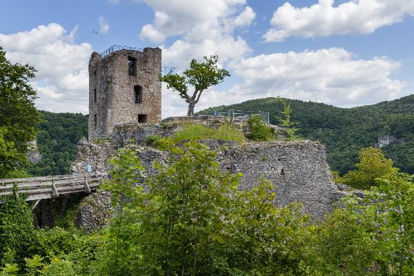 Wohnturm Burgruine Neideck