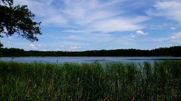 Zierzsee