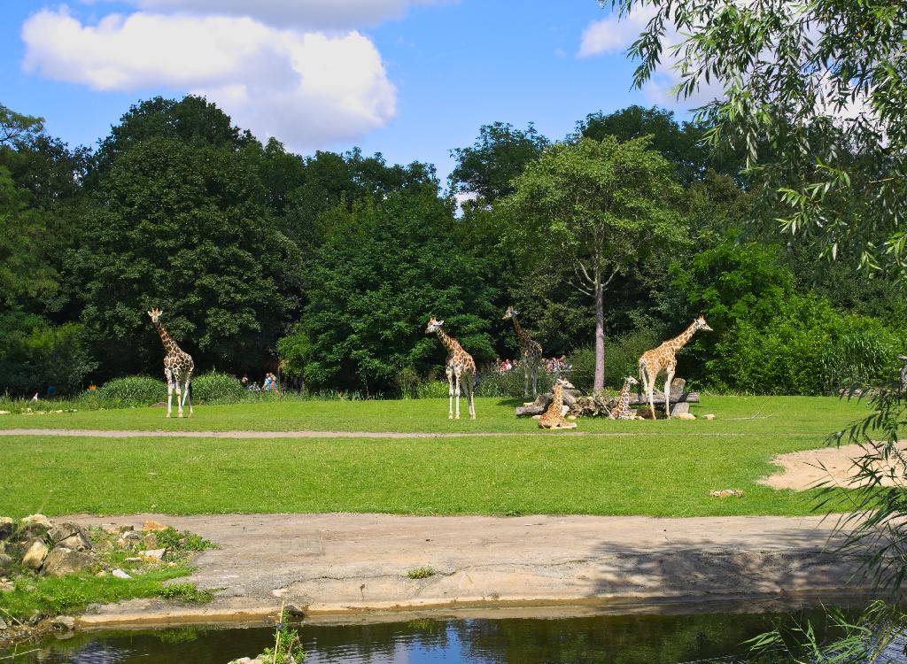 Zooschaufenster in Leipzig