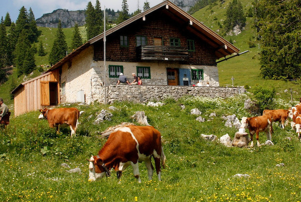 Tannehüsli in Obernau