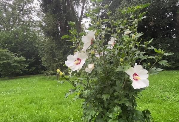 Botanischer Garten Bochum