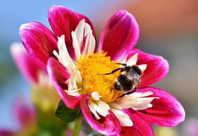 Botanischer Garten Wuppertal