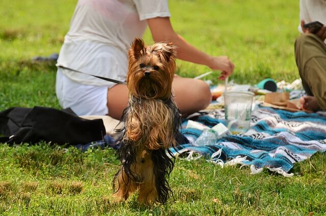 Picknickplatz Dingolfing