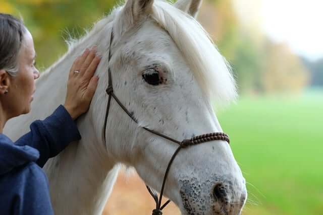 Bonanza-Ranch Katzweiler