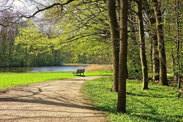 Auenpark in Paderborn