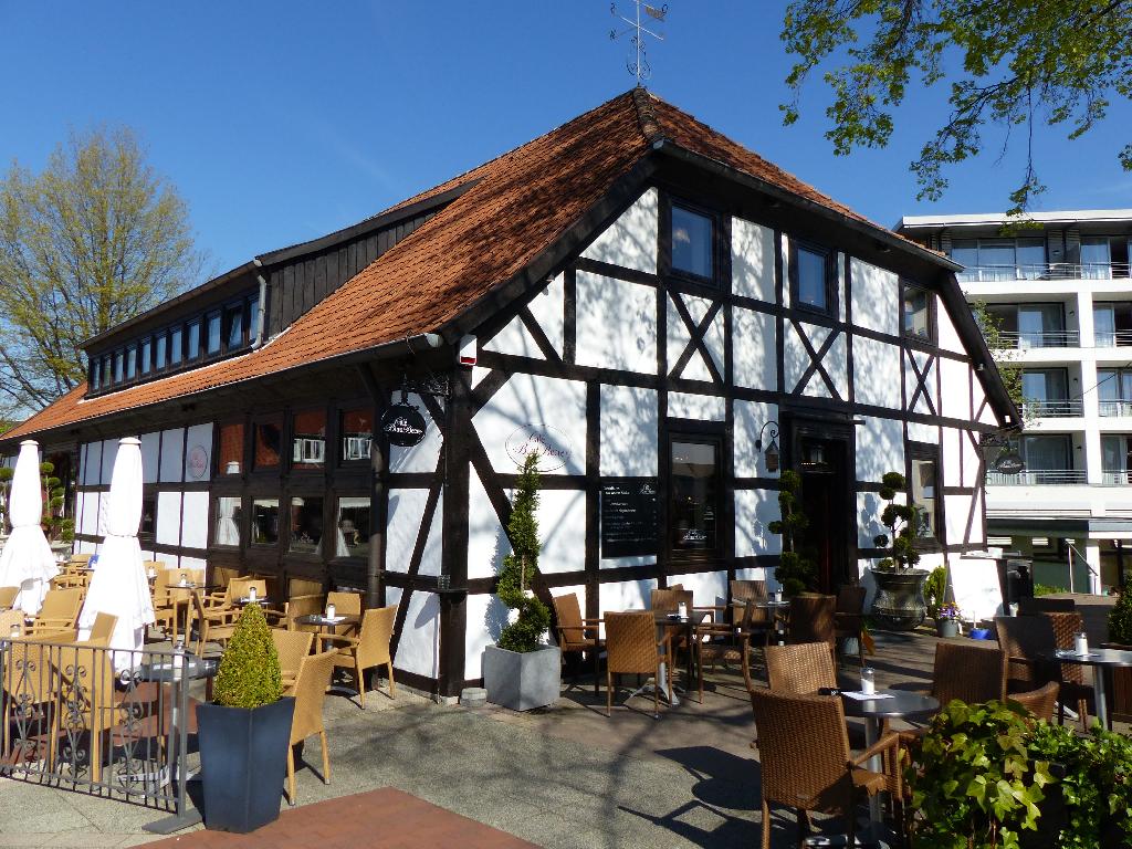 Blaubeere in Bad Sassendorf